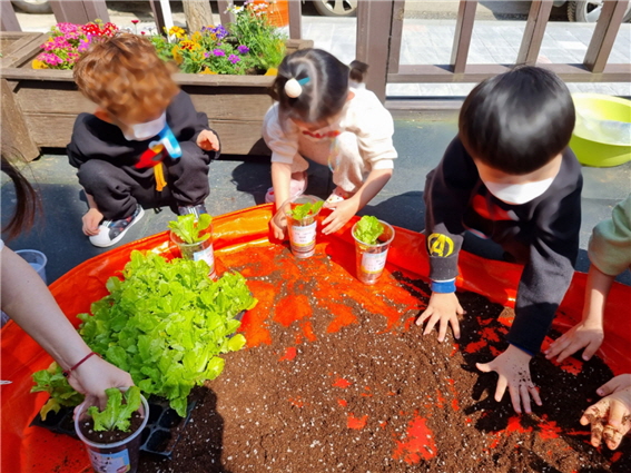 어린이들이 상추 관찰 키트를 통해 상추 심기를 하고 있는 모습