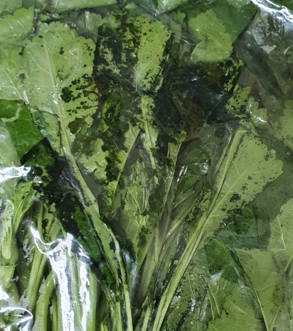 대전의 한 사립유치원 원장이 공급받은 채소 '아욱' 사진을 정기현 대전시의원에게 보내며 품질 상태를 지적했다. (정기현 시의원 제공)