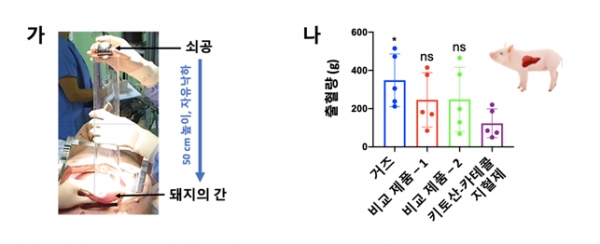 비임상시험에서 키토산-카테콜 지혈제의 지혈 효과.