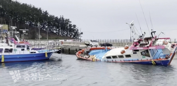호줄이 풀려 물양장에 얹어 기울며 침수중인 사고어선 / 출처=태안해양경찰서
