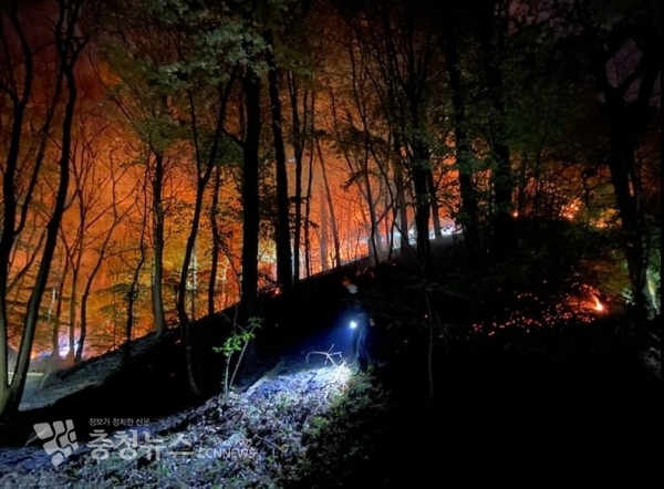 대전 유성구 산불 현장 (사진 = 산림청 제공)