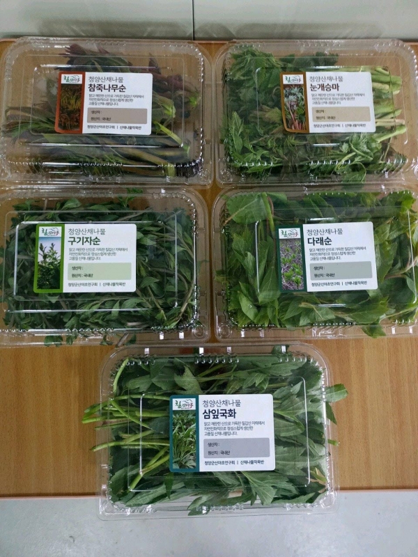 칠갑산 청정산채 판매행사 개최