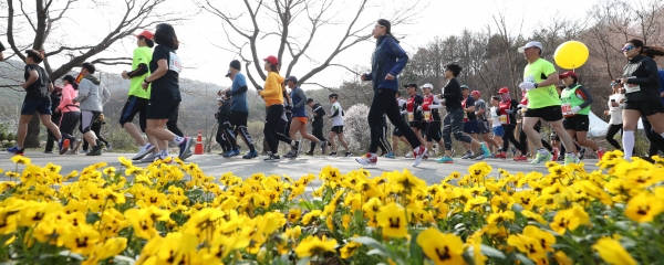 대청호 벚꽃길 마라톤 대회(2019)