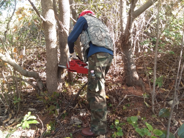 ‘숲가꾸기 사업’ 모습.