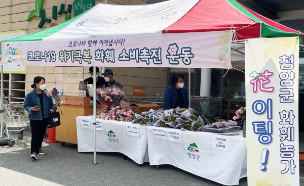 세종시에서 3주간 화훼 판매전 성료