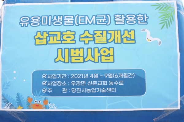 유용미생물(EM균) 활용한 삽교호 수질개선 사업