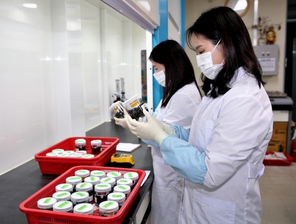 군 농업기술센터에서 퇴비부숙도를 검사하고 있는 모습.