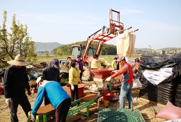 맹정호 서산시장이 21일 농가를 방문해 못자리 설치를 위한 볍씨파종을 돕고 있다.