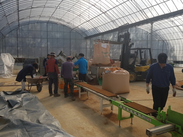 서천군, 벼 키다리병 예방, 볍씨 소독 철저 당부(1)