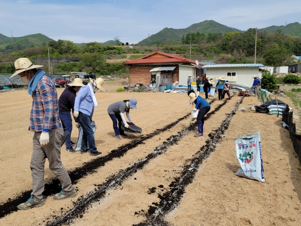 지난 22일 군북면 상곡리 일원 고령 농가를 찾아 일손돕기 실시
