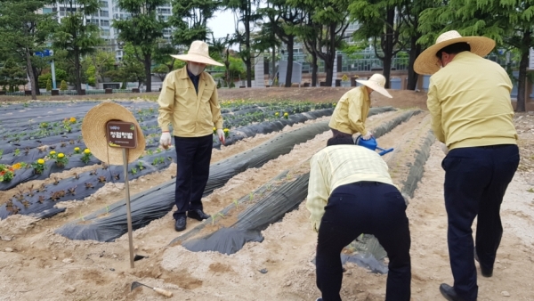 대전 동부교육지원청 청렴 텃밭