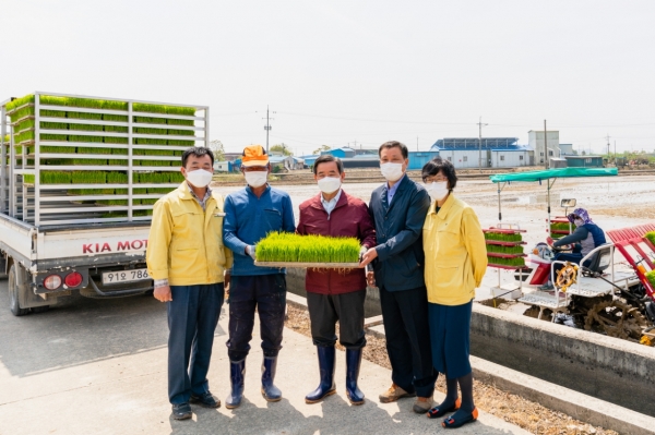 서천군 올해 첫 모내기 장면 (가운데: 노박래 군수)