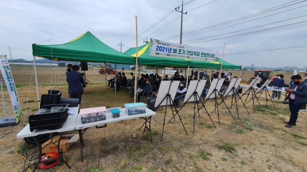 벼 건답직파 시연 장면