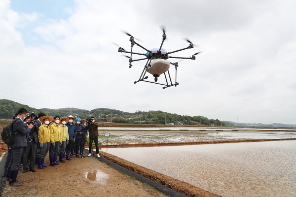 벼조생종 여르미 신기술 드론 시연 사진