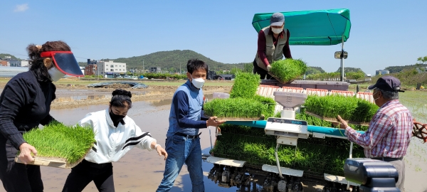 새터민과 함께하는 상생‧협력농장 모내기 행사 모습