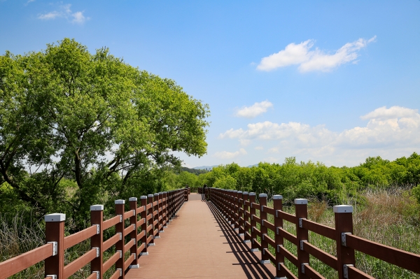 잠홍저수지 데크로드 모습