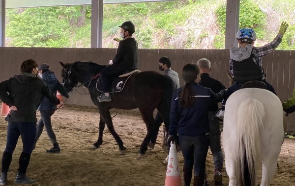 재활승마체험 프로그램