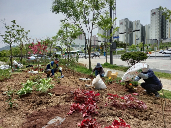 시민정원 조성 참여자들이 정원에 초화류를 식재하고 있다