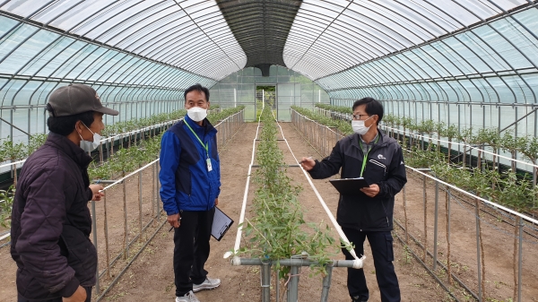 청양군  군수품질인증제 선정 농가 현장실사 추진