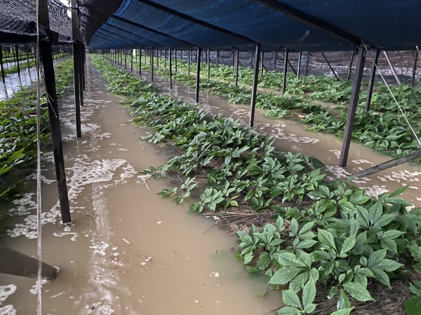 지난해 용담댐 방류 피해 현장