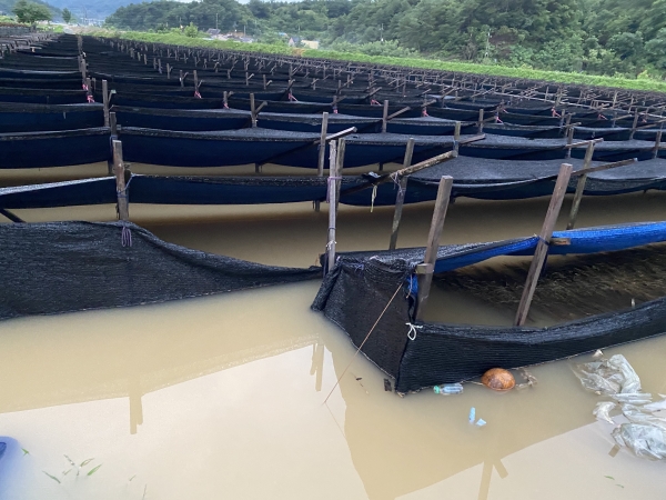 지난해 용담댐 방류 피해 현장