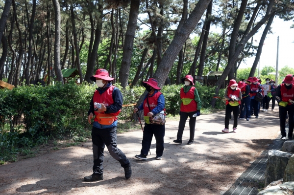 서천군 건강마을 어르신과 함께 걷기대회 추진