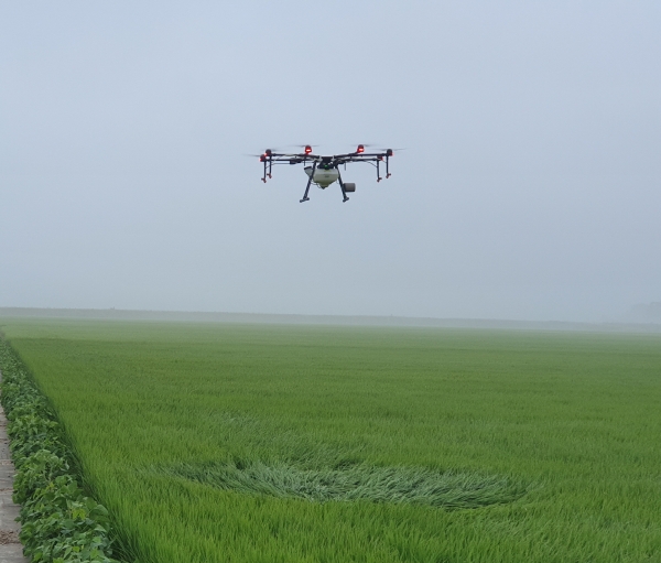 농업용 무인항공 방제 모습