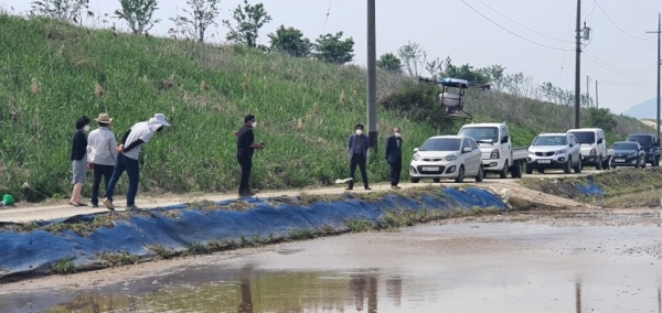 벼 드론직파 시연 모습