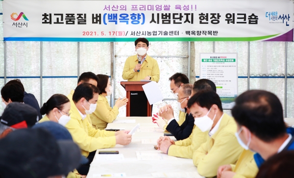 지난 17일 부석면 강당리 일원에서 열린 최고품질 벼(백옥향) 현장 워크숍 장면