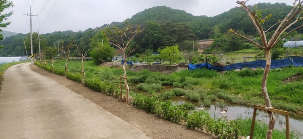 목달동 일원 녹지경관 조성 모습