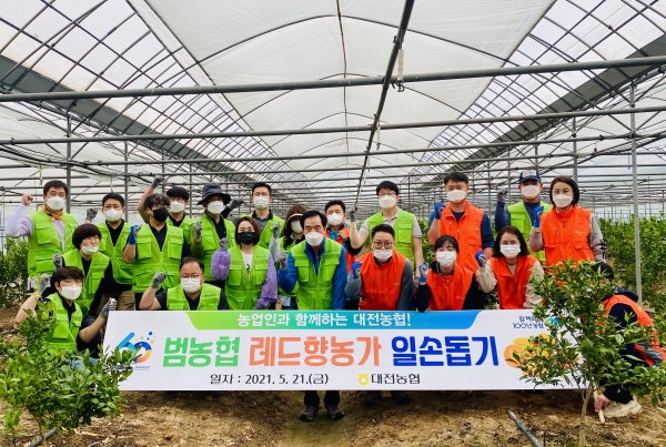 대전농협 임직원과 레드향 재배농가 일손돕기