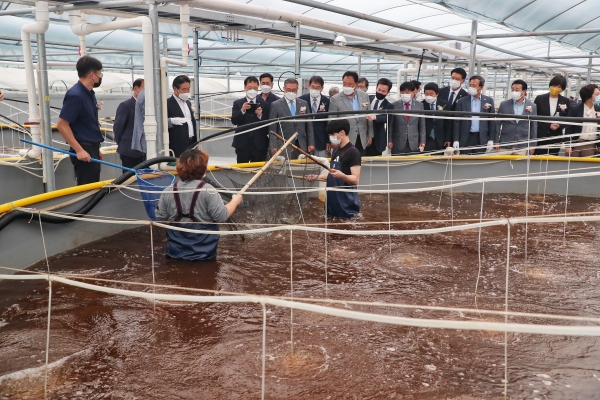 ​당진본부 온배수열 활용 첨단 친환경 양식장 준공식​