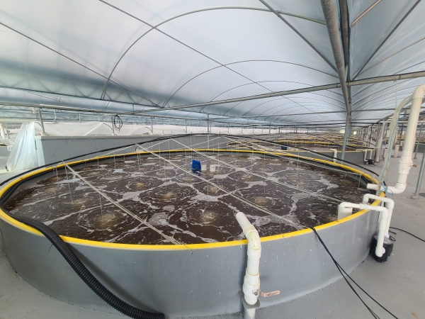 ​당진본부 온배수열 활용 첨단 친환경 양식장 준공식​