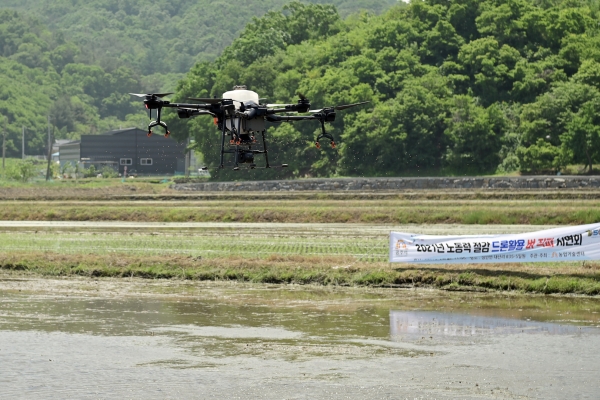 농업용 드론활용 벼 직파 시연회 모습