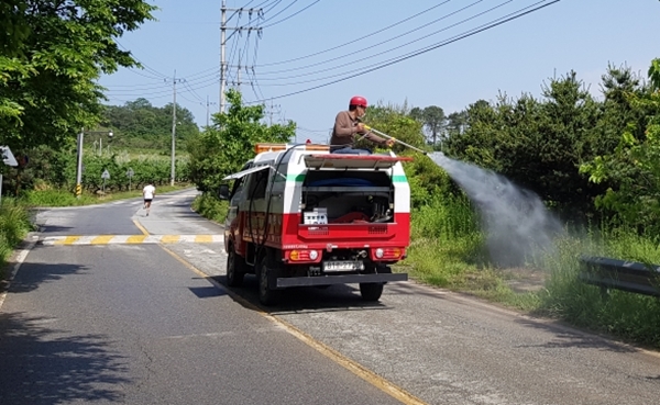 산림병해충 방제 모습