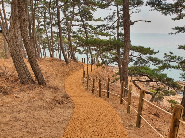 뭍닭섬 산책로 전경