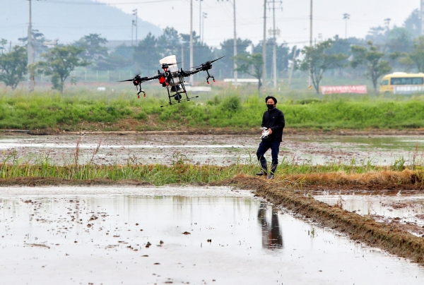 태안군 근흥면 정죽리의 한 농가에서 열린 ‘드론활용 노동력 절감 벼 직파 연시회’ 모습.