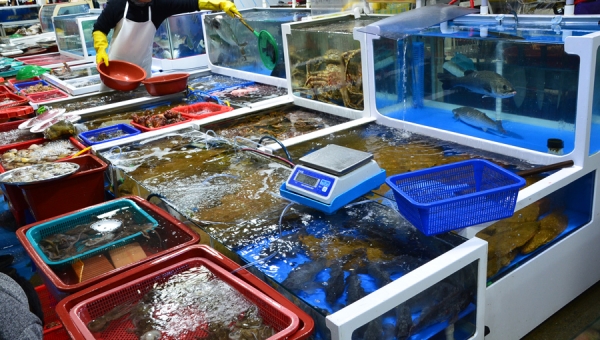 6월에 서천 여행하면 특화시장 바우처 지급 이벤트 (서천특화시장)