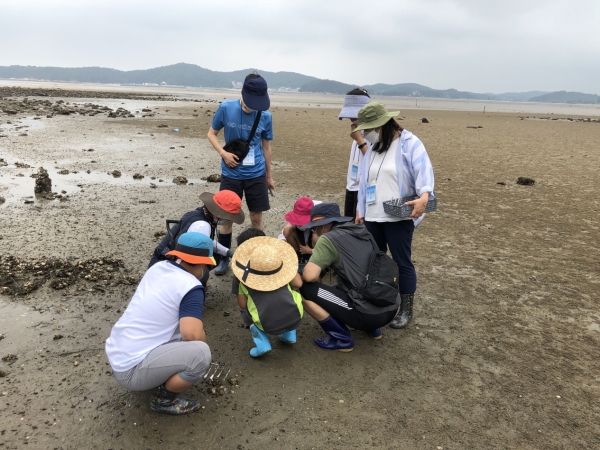 6월에 서천 여행하면 특화시장 바우처 지급 이벤트(갯벌바다 덕분에)
