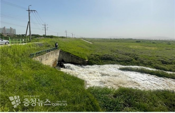 삽교배수펌프장 시험가동 모습