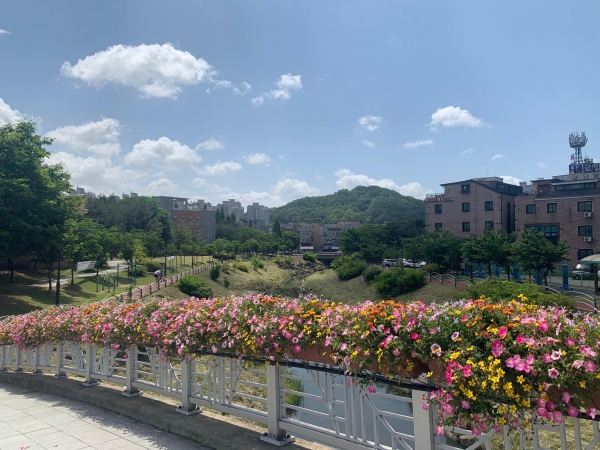 천안시가 천변공원 불당3교·불당4교에 설치한 난간걸이 화분