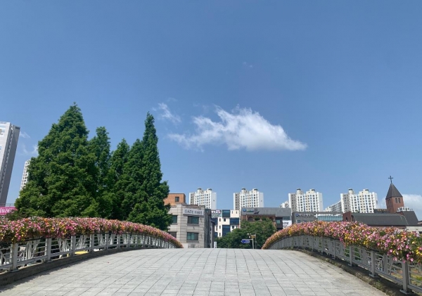 천안시가 천변공원 불당3교·불당4교에 설치한 난간걸이 화분