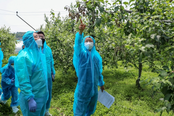 김홍장 시장 과수화상병 농가 방문 모습