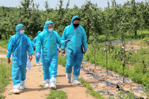 김홍장 시장 과수화상병 농가 방문 모습