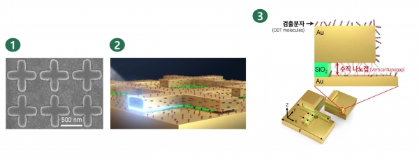 메타물질의 전자현미경 사진(왼쪽)과 초미세구조체.