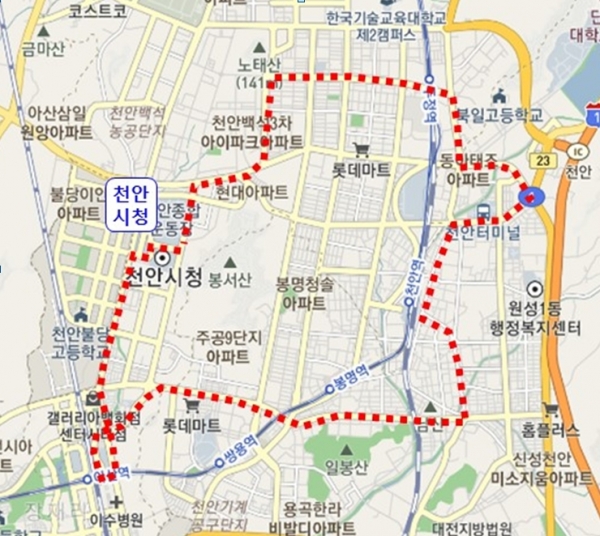 심야버스 노선도