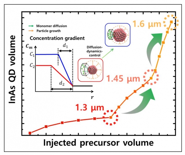 반응물의 확산 속도 조절을 통한 콜로이드 InAs 양자점의 성장