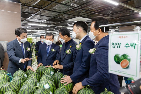 안산시 로컬푸드직매장서 청양수박 홍보하는 김돈곤 군수