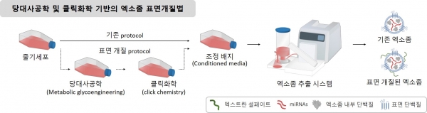 당대사공학 및 클릭화학 기반의 엑소좀 표면개질