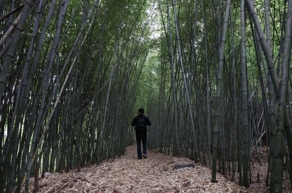 청천호 둘레길 모습